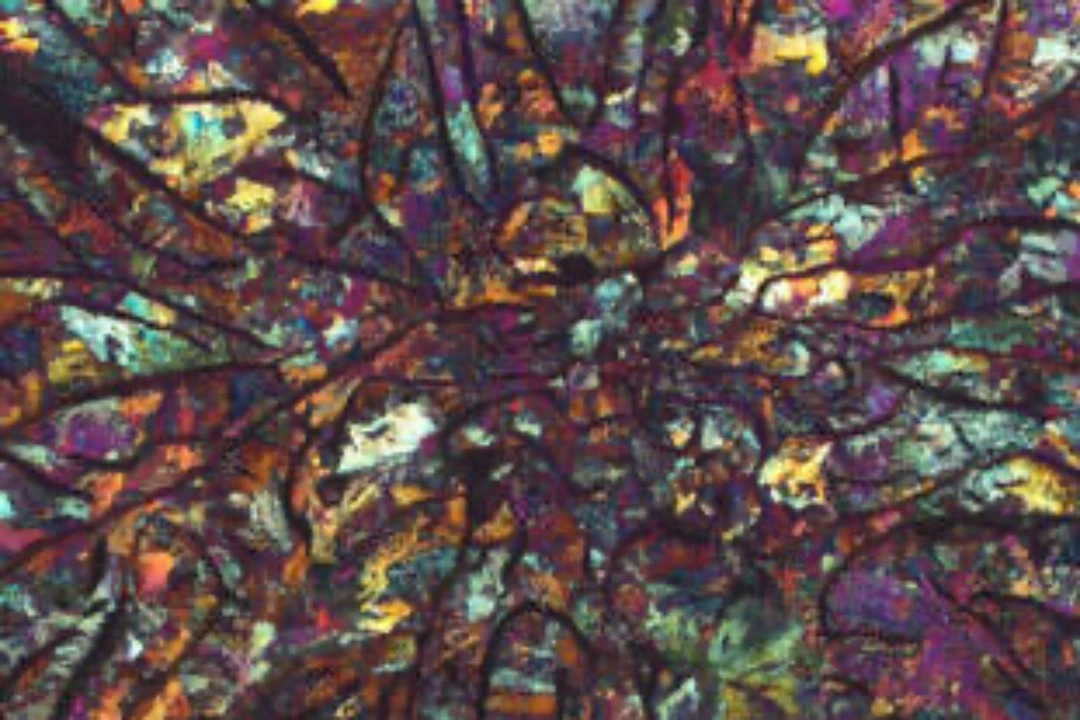 micrograph of etched cast iron