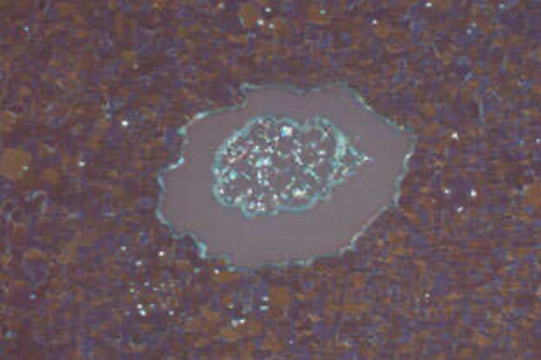 micrograph of rhenium impurity