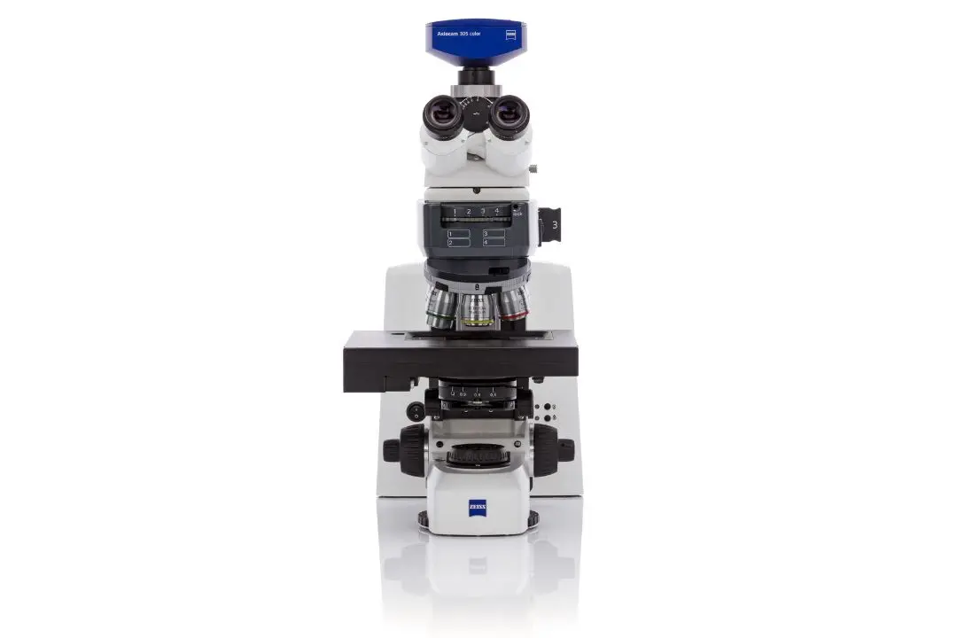 AxioScope Details 3